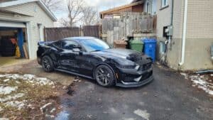 Mustangdarkhorse